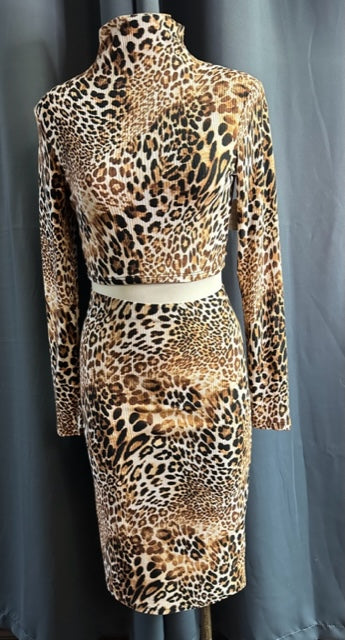 2 Piece Leopard Set